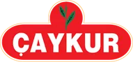 Hersteller Caykur