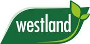 Hersteller Westland