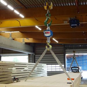 Produktbild für Kranwaage PCE CS 10000N, mit Tara-Funktion, Teilung 5 kg