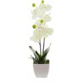 Kunstblume Frank-Flechtwaren Orchidee