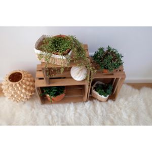 Produktbild für Holzkiste Zeller 15165 Aufbewahrungskiste, Holz