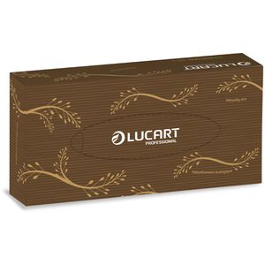 Produktbild für Kosmetiktücher Lucart EcoNatural 100 V, 841073