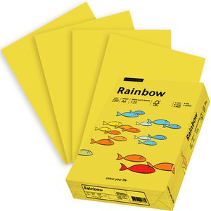 Produktbild für Kopierpapier Papyrus Rainbow 88376508
