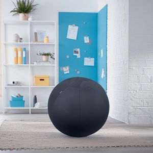 Produktbild für Sitzball Leitz Ergo Cosy Active, belastbar bis 100 kg