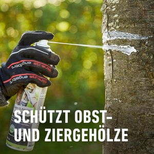 Produktbild für Leimring Compo Bio Raupen &amp; Ameisen Leim Spray, zum Aufsprühen