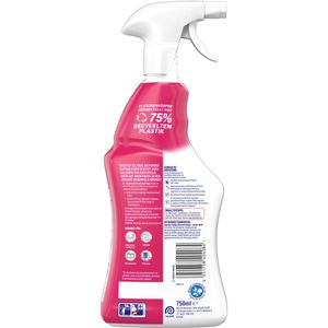 Produktbild für Allzweckreiniger Sagrotan BlütenfrischeGrünerApfel