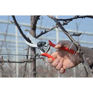 Produktbild für Gartenschere FELCO 2, Bypass