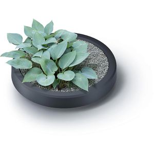 Produktbild für Regentonne Prosperplast Maze, 240 Liter