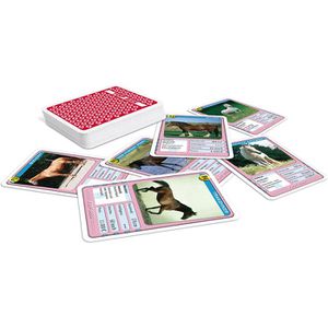 Produktbild für Kartenspiel ASS Altenburger TOP ASS Pferde