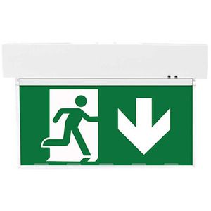 Produktbild für Notbeleuchtung LEDmaxx NL55, Fluchtwegleuchte, LED mit Akku