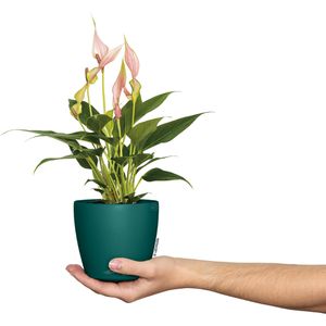 Produktbild für Übertopf Lechuza-DECO 10, pinie, Ø 11 x 10 cm