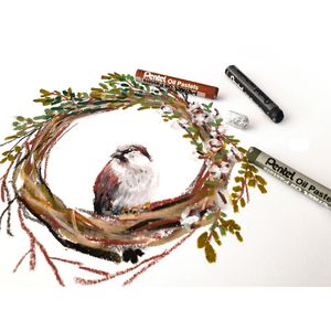 Produktbild für Ölkreide Pentel Oil Pastels, PHN4-50