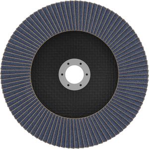 Produktbild für Fächerschleifscheibe Bosch PRO X571