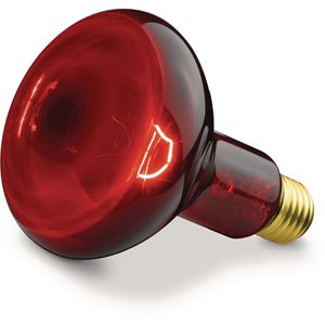 Infrarotlampe