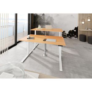 Produktbild für Schreibtisch Hammerbacher XDKB 19, buche / weiß