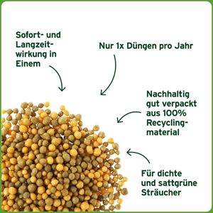 Produktbild für Dünger Substral Depotdünger für Buchs &amp; Hecken