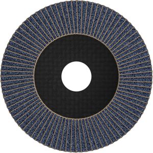 Produktbild für Fächerschleifscheibe Bosch PRO X571