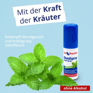 Produktbild für Mundspray One-Drop-Only cool &amp; fresh, 15ml