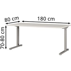 Produktbild für Schreibtisch Germania Profi 3.0, 4253-583, lichtgrau / silber