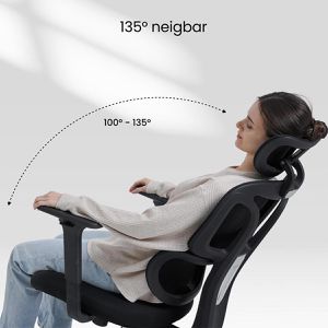 Produktbild für Bürostuhl FlexiSpot BS5B-PRO