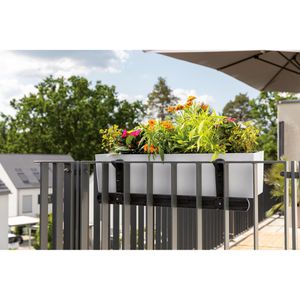 Produktbild für Blumenkastenhalterung Lechuza 19026, schwarz