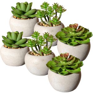 Kunstpflanze Creativ-green Sukkulenten-Mix