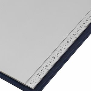 Produktbild für Register Böttcher-AG Premium, A4, 1-52