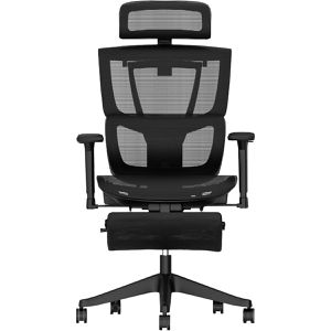 Bürostuhl FlexiSpot C7B-Air-PRO