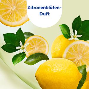 Produktbild für Desinfektionstücher Sagrotan 2in1 Zitronenblüten