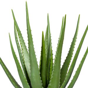 Produktbild für Kunstpflanze Creativ-green Aloe Vera