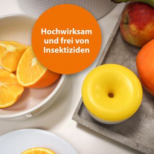 Produktbild für Fruchtfliegenfalle ARDAP 077705