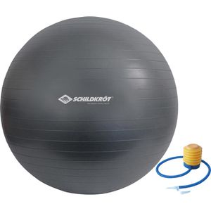 Produktbild für Gymnastikball Schildkröt-Fitness 960158, mit Luftpumpe