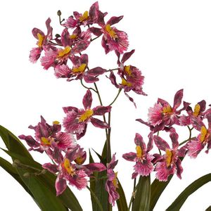 Produktbild für Kunstblume Creativ-green Cambria-Orchidee