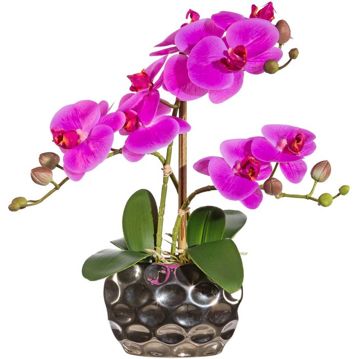 Ovalvase, Phalaenopsis, 30 lila, Orchidee, Kunstblume AG Böttcher in Creativ-green cm silberner – Höhe