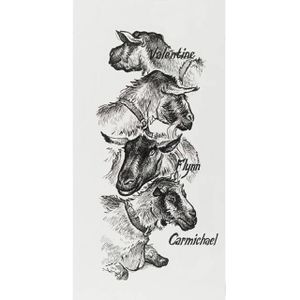 Produktbild für Tuschestifte Faber-Castell Pitt Artist Pen 167115