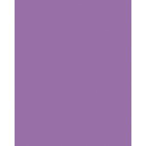 Produktbild für Tonpapier Folia 6118/21/28, A2