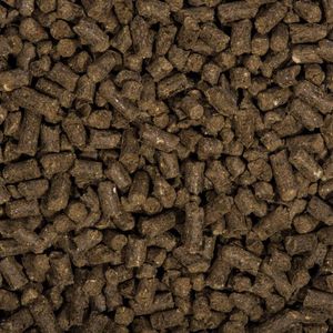 Produktbild für Dünger Compo Bio Hochbeet Langzeitdünger