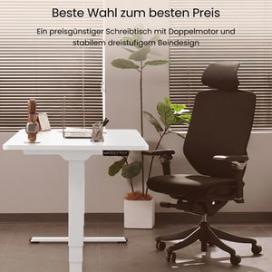 Produktbild für Schreibtisch FlexiSpot E5W, weiß / weiß