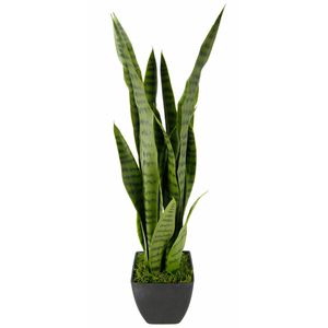 Kunstpflanze I.GE.A. Sansevieria