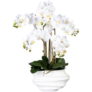 Creativ-green Kunstblume Orchidee, Phalaenopsis, weiß, 75 AG – cm Vase, Höhe Böttcher in