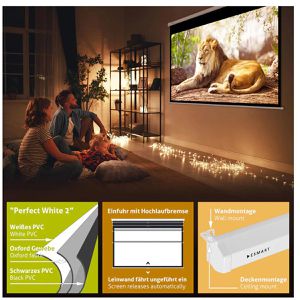 Produktbild für Beamer-Leinwand ESMART Professional MIROLO