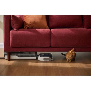 Produktbild für Saugwischer Roborock F25