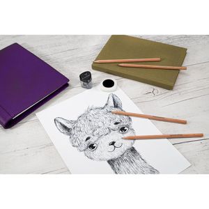 Produktbild für Bleistift Eberhard-Faber 510312