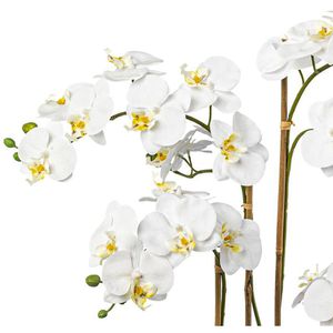 Produktbild für Kunstblume Creativ-green Orchidee, Phalaenopsis