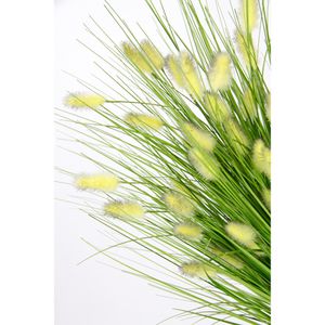 Produktbild für Kunstpflanze I.GE.A. Borstenhirse