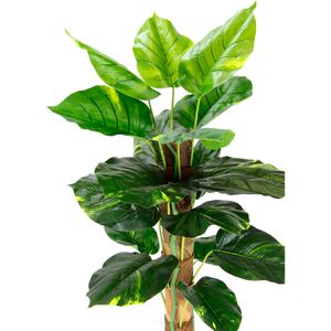 Produktbild für Kunstpflanze I.GE.A. Pothospflanze