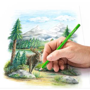 Produktbild für Buntstifte Staedtler 146C C12 Design Journey