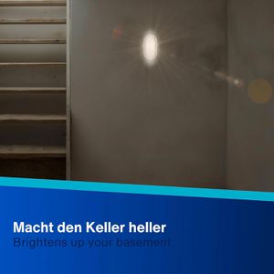 Produktbild für Kellerlampe REV-Ritter 2101010430, IP44 Spritzwasserschutz