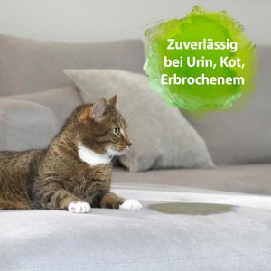 Produktbild für Enzymreiniger Bactador 250163, Geruchs- und Fleckenentferner