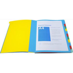 Produktbild für Ordnungsmappe Exacompta 55123E Harmonika, A4